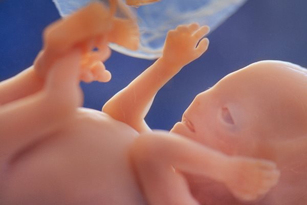 Эмбрионы с аномалиями могут развиться в здоровых детей